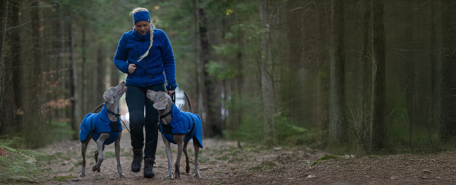 Kvinne i blå Canelana ulljakke og pannebånd på tur i skogen med to weimaranere iført blå hundedekken